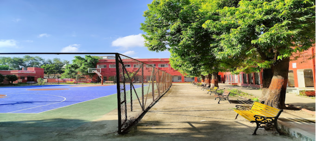 Slide 8